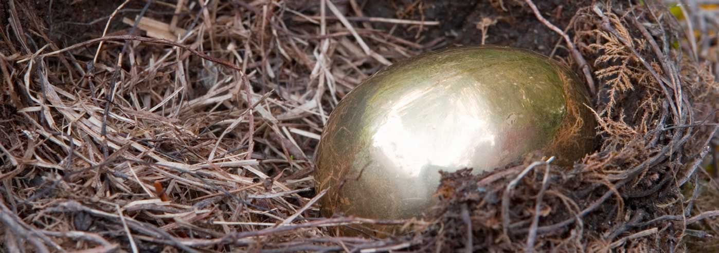 ILP + Arkansas - McChain Miller Nissman